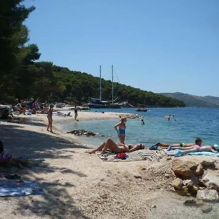 Teddy Bear Διαμέρισμα