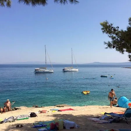 Teddy Bear Τρογκίρ