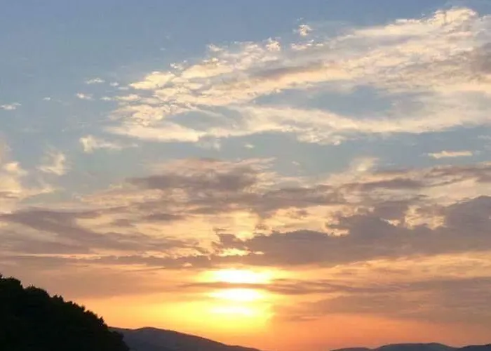 Teddy Bear * トロギール