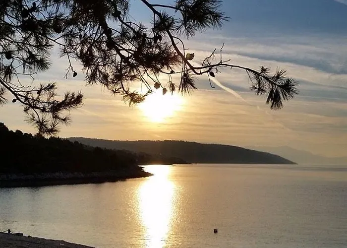 アパート Teddy Bear