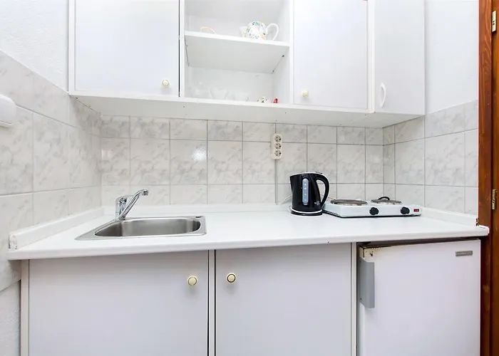 Teddy Bear トロギール