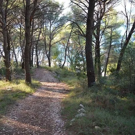 Teddy Bear * Трогир