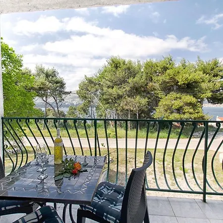 Teddy Bear * Трогир