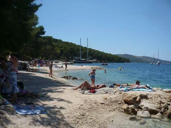 Teddy Bear Appartement