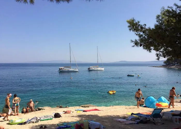 Teddy Bear Trogir