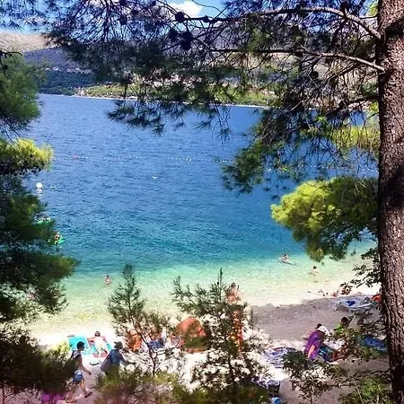 Daire Teddy Bear Trogir