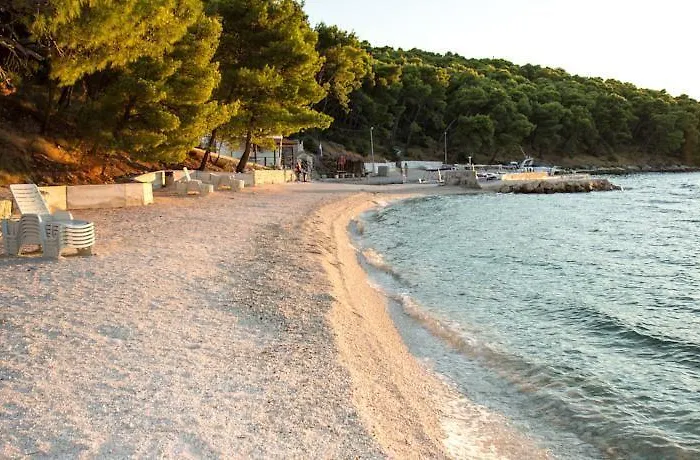 Apartament Teddy Bear *