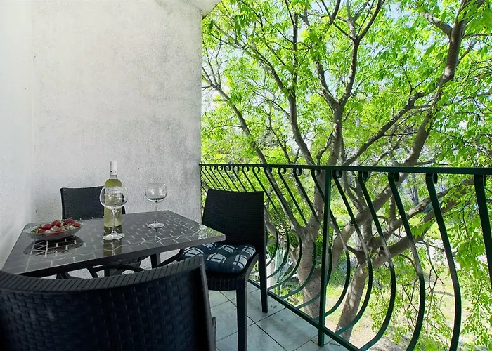 Teddy Bear Apartament